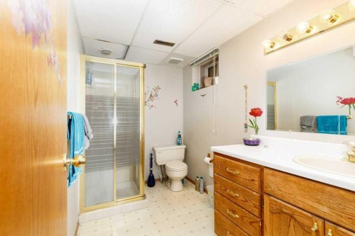 6 Densmore Crescent, Red Deer, AB - Indoor Photo Showing Bathroom