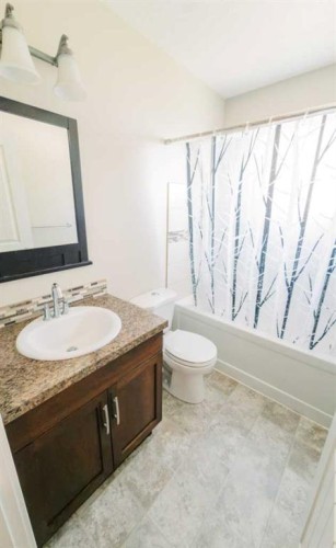 5007B 46 Street, Stettler, AB - Indoor Photo Showing Bathroom