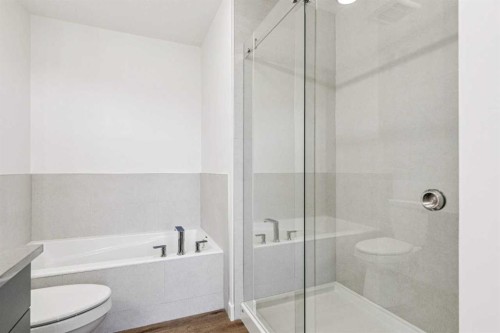 206 Sora Way Se, Calgary, AB - Indoor Photo Showing Bathroom