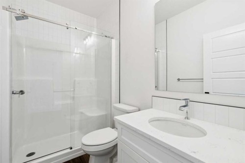 283 Dawson Wharf Rise, Chestermere, AB - Indoor Photo Showing Bathroom