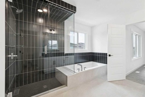 283 Dawson Wharf Rise, Chestermere, AB - Indoor Photo Showing Bathroom