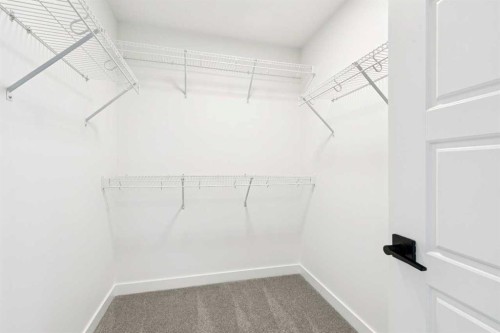 283 Dawson Wharf Rise, Chestermere, AB - Indoor With Storage