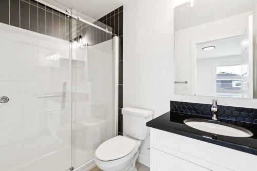 283 Dawson Wharf Rise, Chestermere, AB - Indoor Photo Showing Bathroom