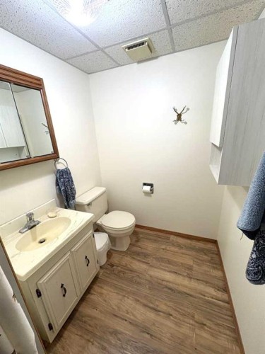 42567 Highway 856, Rural Flagstaff County, AB - Indoor Photo Showing Bathroom