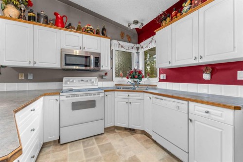 45 Durand Crescent, Red Deer, AB - Indoor Photo Showing Kitchen With Double Sink