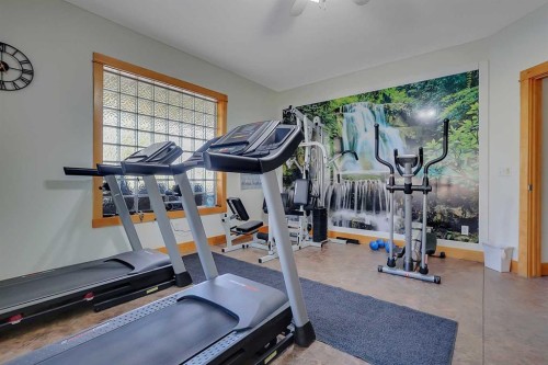 2 Janko Close, Red Deer, AB - Indoor Photo Showing Gym Room