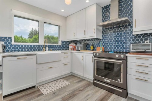 31 Macfarlane Avenue, Red Deer, AB - Indoor Photo Showing Kitchen With Upgraded Kitchen