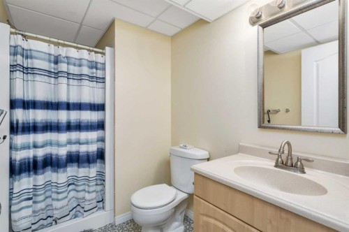 31 Macfarlane Avenue, Red Deer, AB - Indoor Photo Showing Bathroom