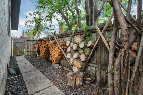 31 Macfarlane Avenue, Red Deer, AB - Outdoor