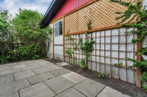 31 Macfarlane Avenue, Red Deer, AB - Outdoor