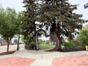 5105 50 Avenue, Lacombe, AB 