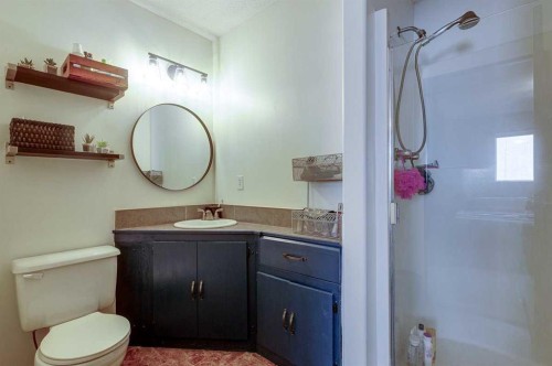 24 Bruns Bay, Lacombe, AB - Indoor Photo Showing Bathroom