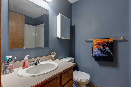 24 Bruns Bay, Lacombe, AB - Indoor Photo Showing Bathroom
