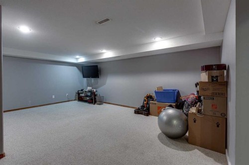 24 Bruns Bay, Lacombe, AB - Indoor Photo Showing Basement