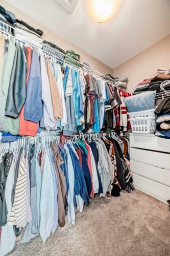 128 Almond Crescent, Blackfalds, AB - Indoor With Storage