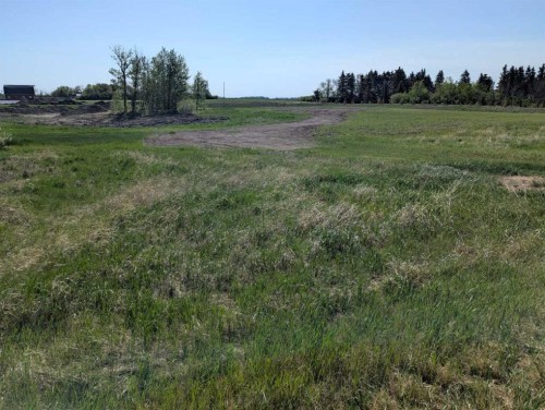 On Range Road 212, Rural Camrose County, AB 