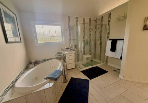 205-1 Ave Avenue West, Buck Lake, AB - Indoor Photo Showing Bathroom