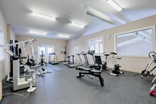 119A-10046 Township Road 422, Rural Ponoka County, AB - Indoor Photo Showing Gym Room