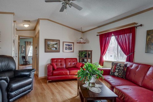 29A-10046 Township Road 422, Rural Ponoka County, AB - Indoor Photo Showing Living Room