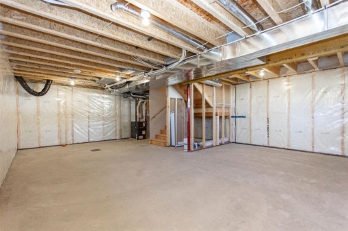 60 Trinity Street, Lacombe, AB - Indoor Photo Showing Basement