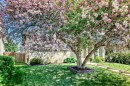 8 Haliburton Crescent, Red Deer, AB  - Outdoor 