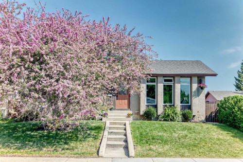 8 Haliburton Crescent, Red Deer, AB - Outdoor