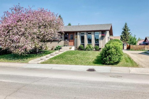 8 Haliburton Crescent, Red Deer, AB - Outdoor