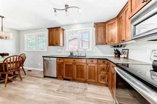 8 Haliburton Crescent, Red Deer, AB - Indoor Photo Showing Kitchen With Double Sink