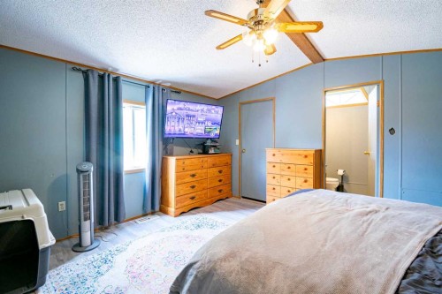 2 Elm Close, Erskine, AB - Indoor Photo Showing Bedroom