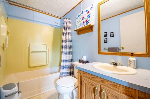 2 Elm Close, Erskine, AB - Indoor Photo Showing Bathroom