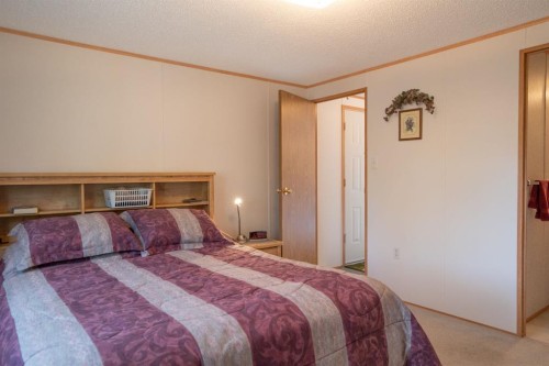201 433042 Range Road 221, Rural Ponoka County, AB - Indoor Photo Showing Bedroom