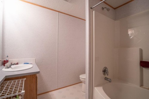 201 433042 Range Road 221, Rural Ponoka County, AB - Indoor Photo Showing Bathroom