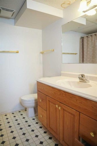 4525 49 Avenue, Hardisty, AB - Indoor Photo Showing Bathroom