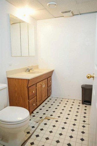 4525 49 Avenue, Hardisty, AB - Indoor Photo Showing Bathroom