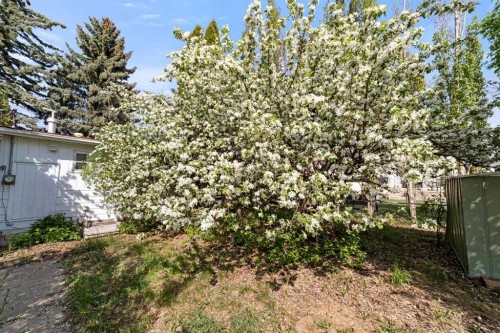 4911 54 Avenue, Viking, AB 