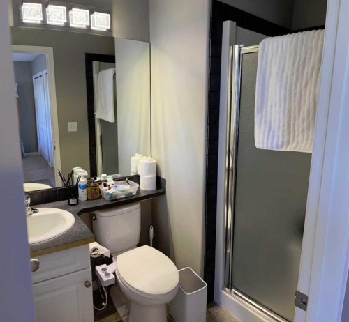 194 Webster Drive, Red Deer, AB - Indoor Photo Showing Bathroom