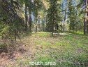 Pine Ridge Alley, Rural Clearwater County, AB 