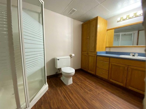 6302 Marler Drive, Camrose, AB - Indoor Photo Showing Bathroom
