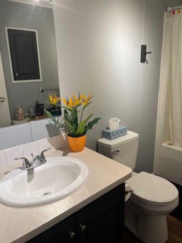 16 Main Street, Edberg, AB - Indoor Photo Showing Bathroom