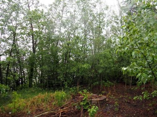 6 Spruce Close, Lacombe, AB - Outdoor