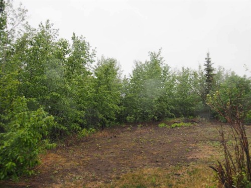 6 Spruce Close, Lacombe, AB - Outdoor