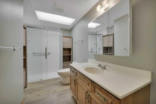 22 Blackstone Avenue, Lacombe, AB - Indoor Photo Showing Bathroom