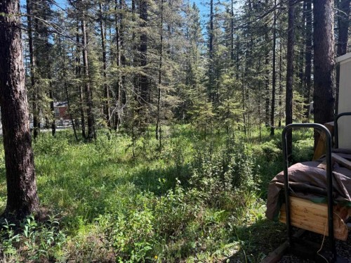 29 Timber Trail-5230 27 Highway, Rural Mountain View County, AB 