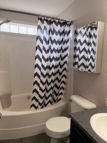 5019 49 Street, Hardisty, AB - Indoor Photo Showing Bathroom