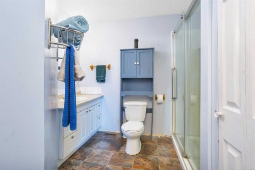 35005 Range Road 15, Rural Red Deer County, AB - Indoor Photo Showing Bathroom
