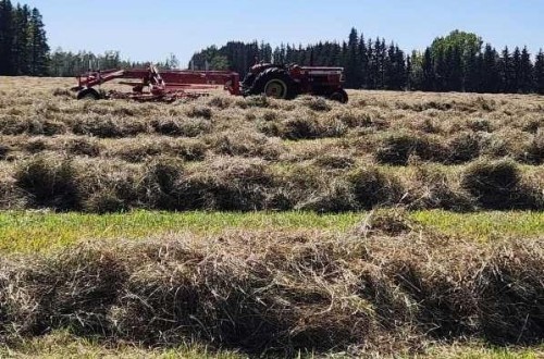 390039 Range Road 54, Alhambra, AB 