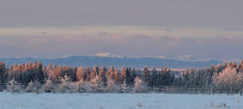390039 Range Road 54, Alhambra, AB 