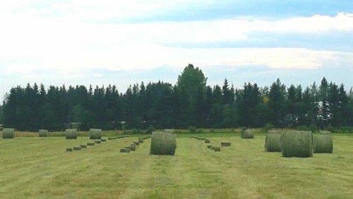 390039 Range Road 54, Alhambra, AB 