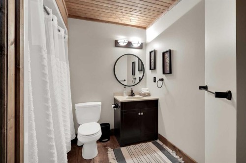 5518 52 Street Close, Bashaw, AB - Indoor Photo Showing Bathroom