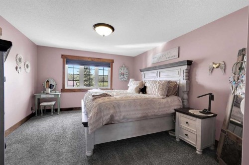 5518 52 Street Close, Bashaw, AB - Indoor Photo Showing Bedroom